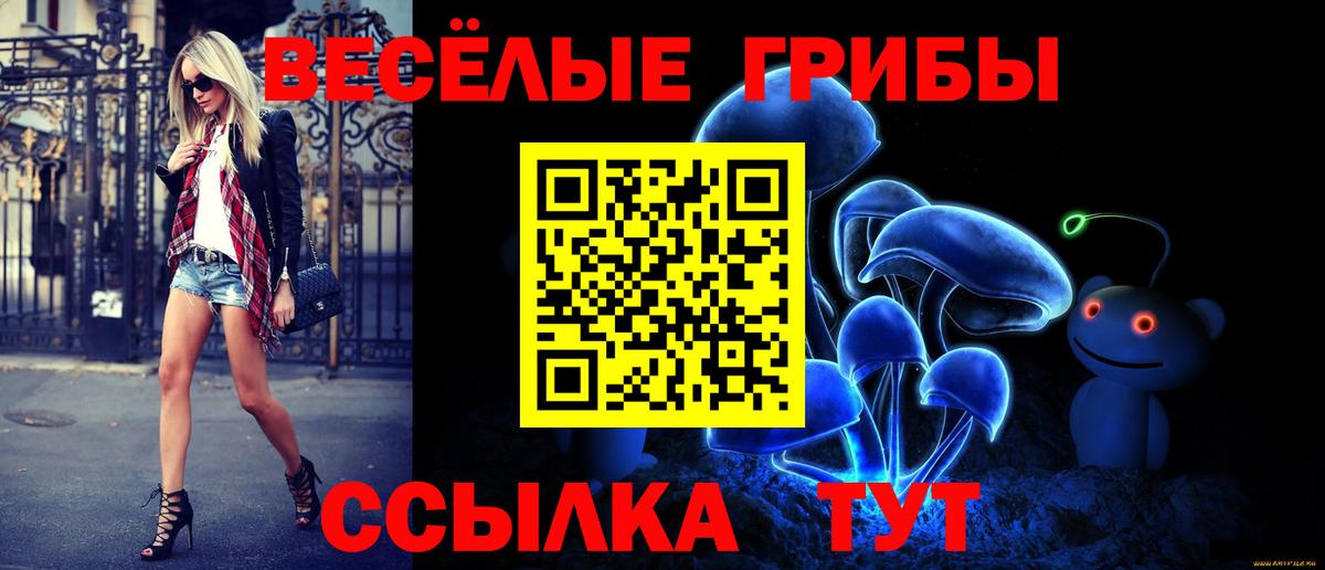 Галлюциногенные грибы MAGIC MUSHROOMS Шахты